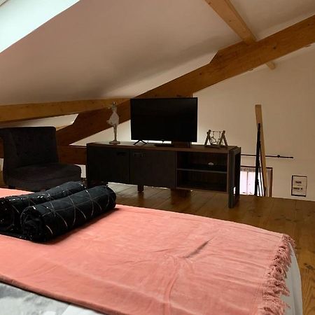 Au Bout Du Pont Villa Chaumont-sur-Loire Eksteriør billede